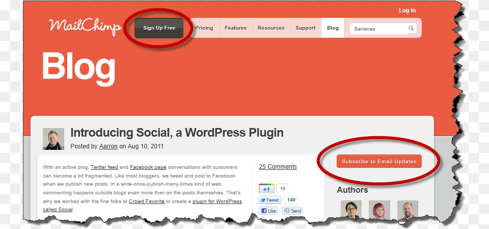 Newsletter Sign In Cta Exemplos De Call To Action, File, Webpage, Person, Page Free Transparent Png