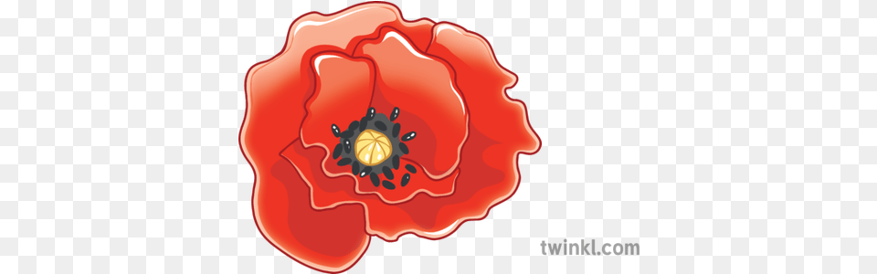 Newsroom Emoji Remembrance Day Poppy Ks2 Illustration Twinkl Poppy Flower Poppy Emoji, Food, Ketchup, Plant, Anemone Free Png