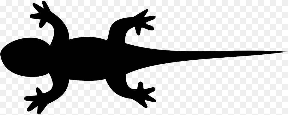 Newt Clipart Black Lizard Clip Art, Animal, Gecko, Reptile, Amphibian Free Png