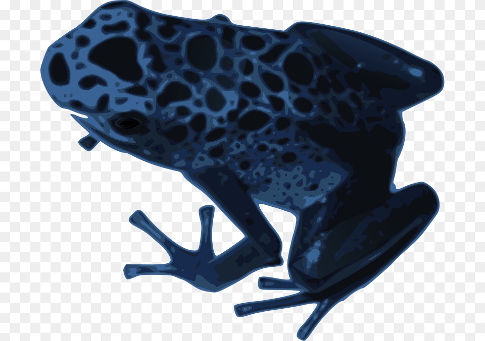 Newt Clipart Blue Frog, Amphibian, Animal, Wildlife, Fish Png