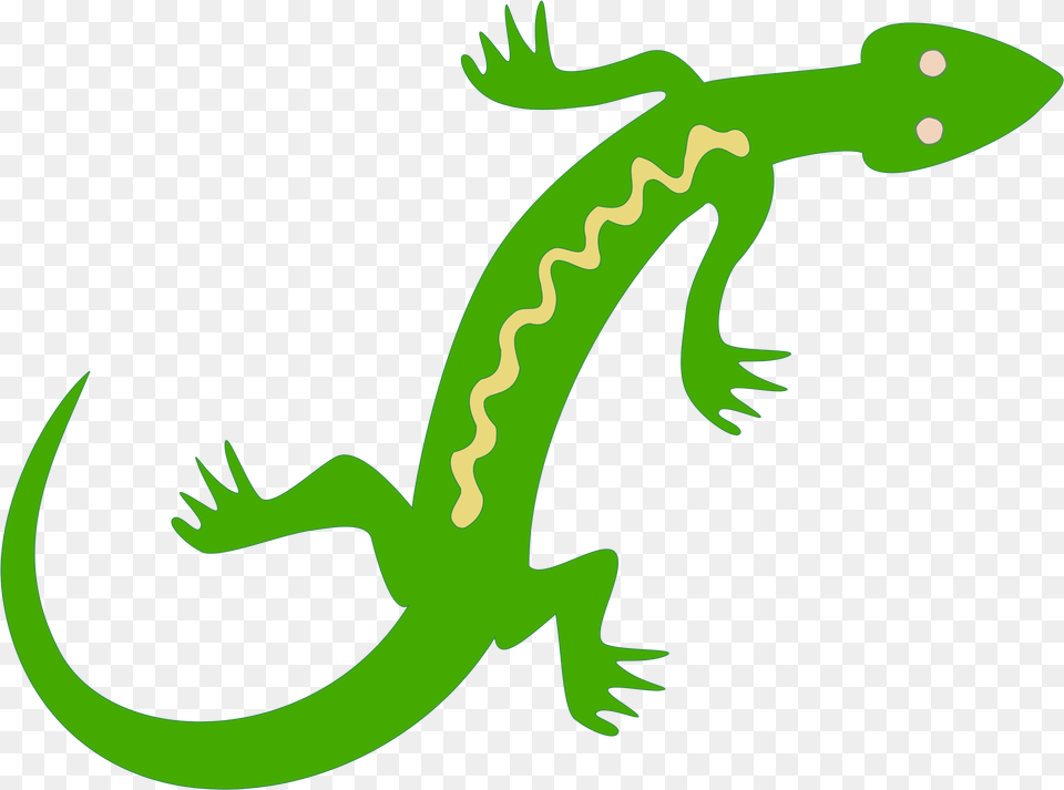 Newt Clipart Iguana Lizard Clipart, Animal, Gecko, Reptile, Fish Free Png Download