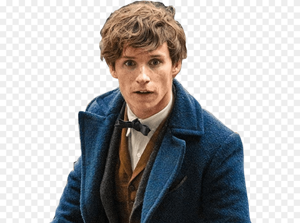 Newt Scamander Looking Up Fantastic Beasts Newt Scamander, Accessories, Portrait, Photography, Person Free Png Download