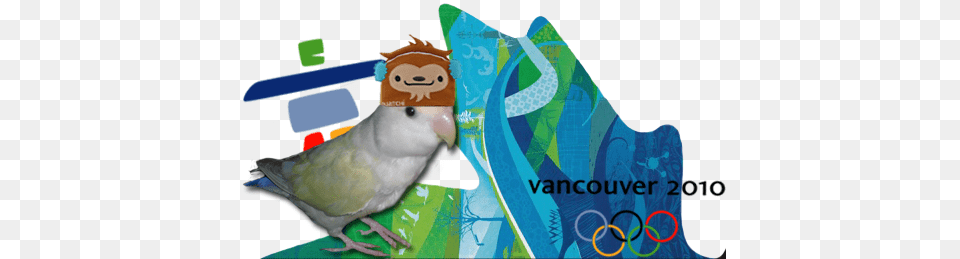 Newtbsiggynotdone Vancouver 2010, Animal, Bird, Parakeet, Parrot Png Image