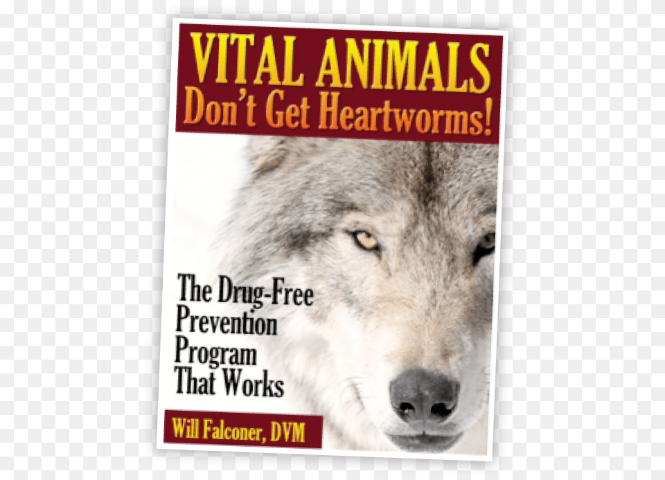Newtovital Dog Yawns, Animal, Mammal, Wolf, Advertisement Png Image