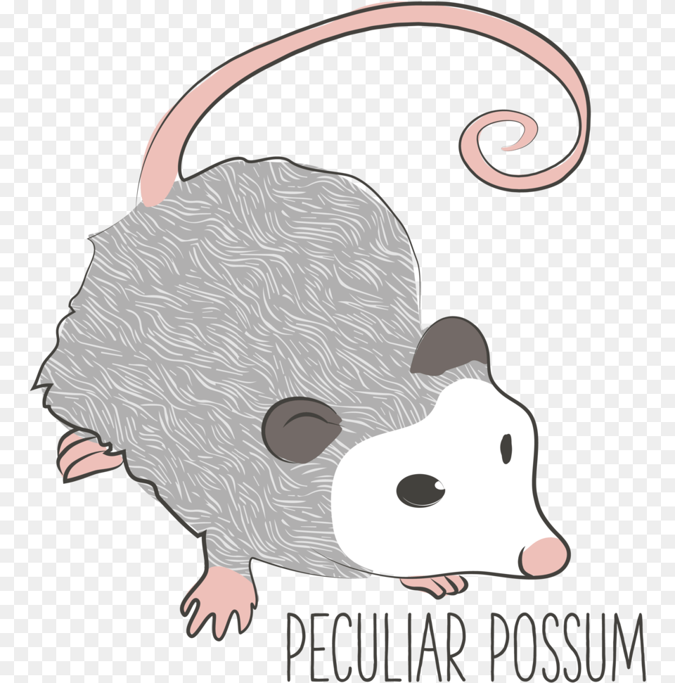 Next Chapter Possum Clipart, Animal, Mammal, Rat, Rodent Png