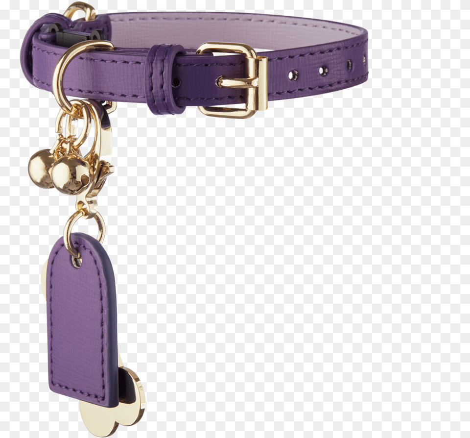 Next Collar, Accessories, Belt Free Png