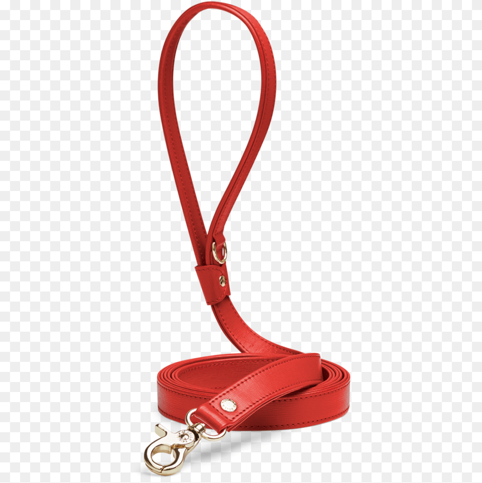 Next Leash, Accessories, Bag, Handbag, Strap Free Png Download