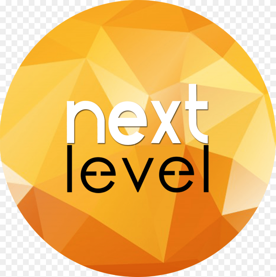 Next Level Poly Web Circle, Sphere, Logo, Face, Head Png