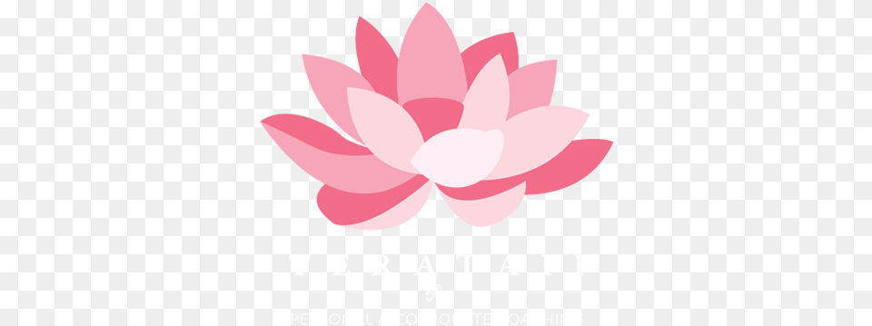 Next Logo Teratai, Flower, Plant, Petal, Lily Free Transparent Png