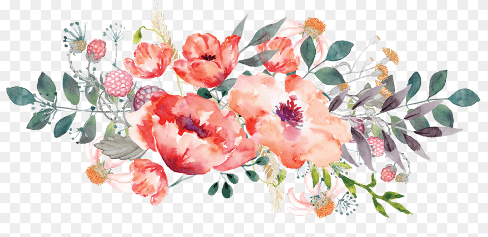 Next Review Floral Design, Art, Plant, Pattern, Graphics Free Png