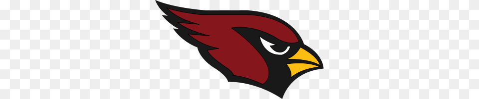 Nfc Wildcard Preview Arizona Cardinals Carolina Panthers, Animal, Beak, Bird, Fish Png Image