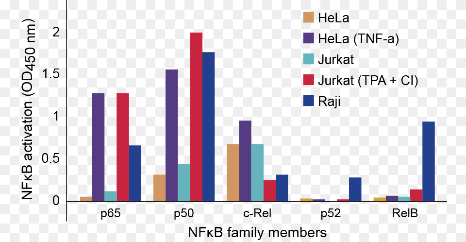 Nfkb Family Profiling Of Dna Binding Activation In Jurkat Tnf, Bar Chart, Chart Free Png