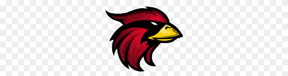 Nfl Cardinals Logo, Animal, Beak, Bird, Maroon Free Png Download