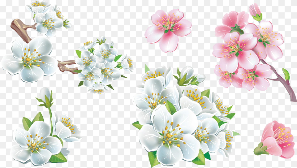 Ng Sims Background Flower Frame, Anther, Plant, Pollen, Petal Free Png