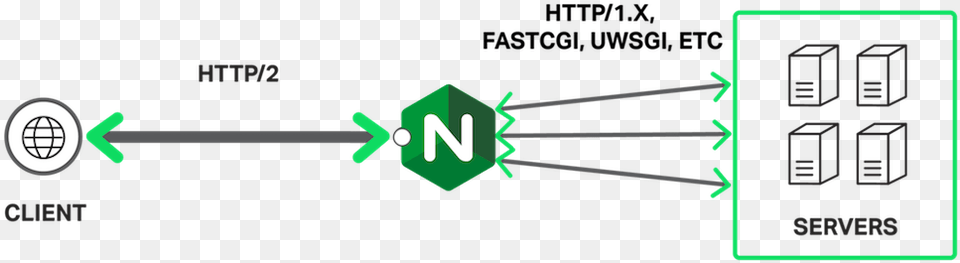 Nginx, Light Png