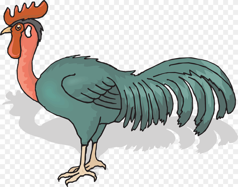 Nh Ng Con G, Animal, Bird, Chicken, Fowl Png