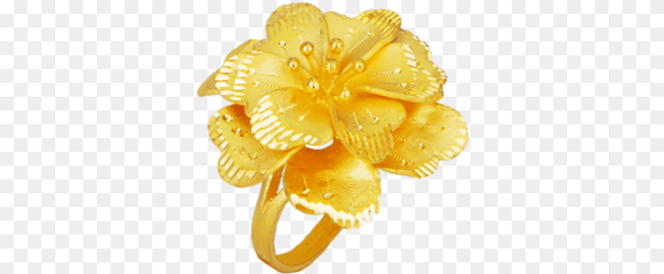 Nhn N Hoa O Vng, Accessories, Jewelry, Flower, Plant Png Image