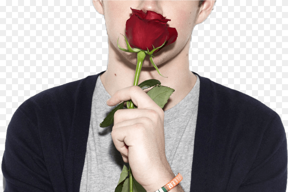 Niall Horan From One Direction, Smelling, Face, Flower, Head Png