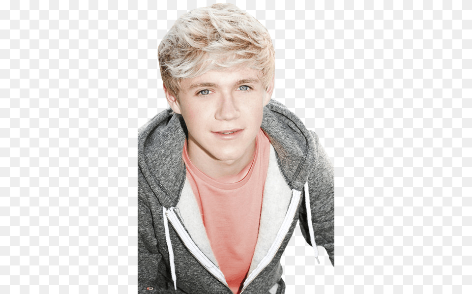 Niall Horan What Makes You Beautiful, Blonde, Portrait, Face, Hair Free Png Download