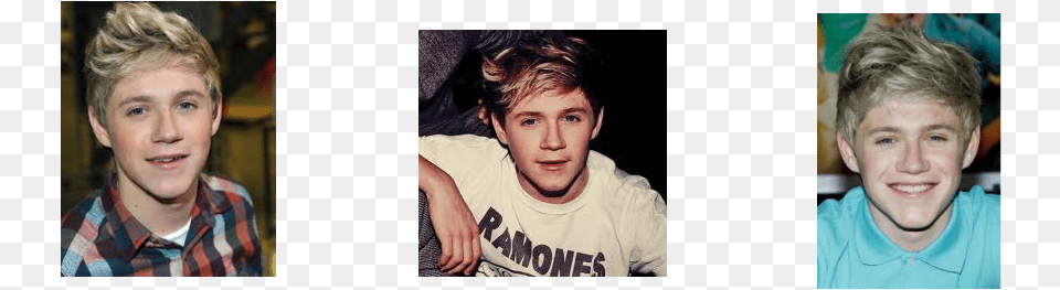 Niall James Horan Was Born 13 September 1993 In Mullingar Niall Horan Facts, Art, Portrait, Photography, Person Free Transparent Png