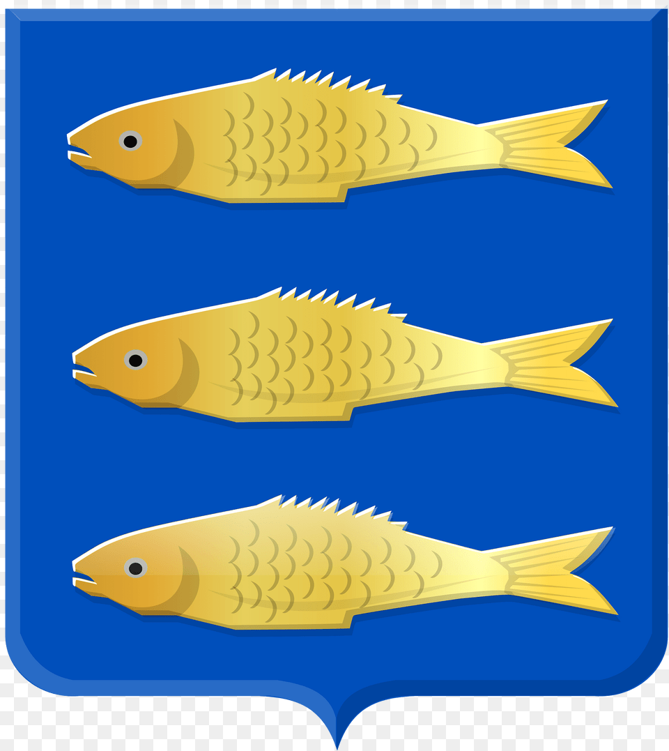 Nibbixwoud Wapen Clipart, Animal, Fish, Sea Life, Carp Png