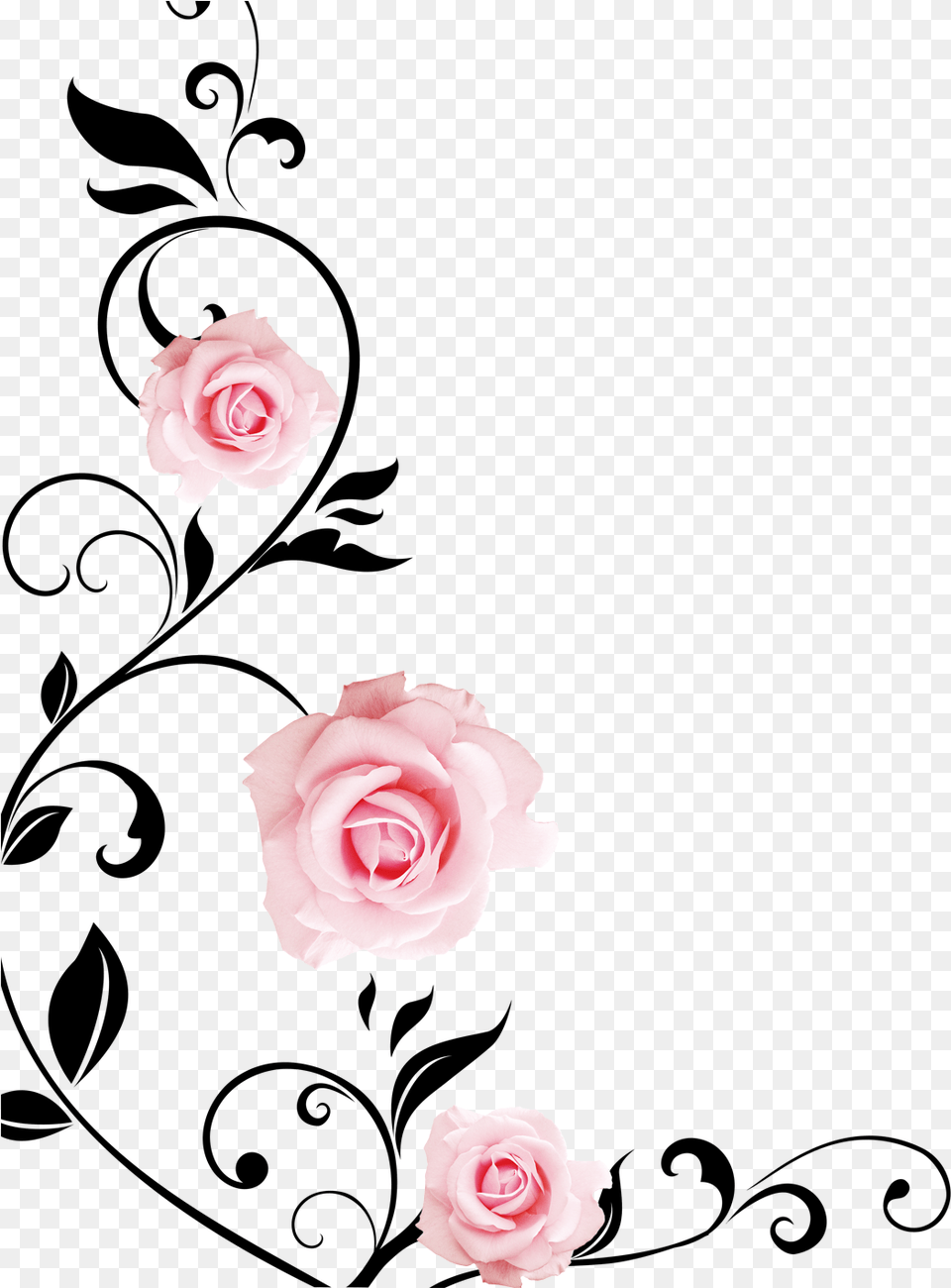 Nice 3d Wall Rose Flower Drawings, Petal, Plant Png