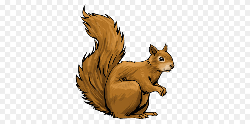 Nice Clipart Of A Squirrel, Animal, Mammal, Rodent, Rat Png