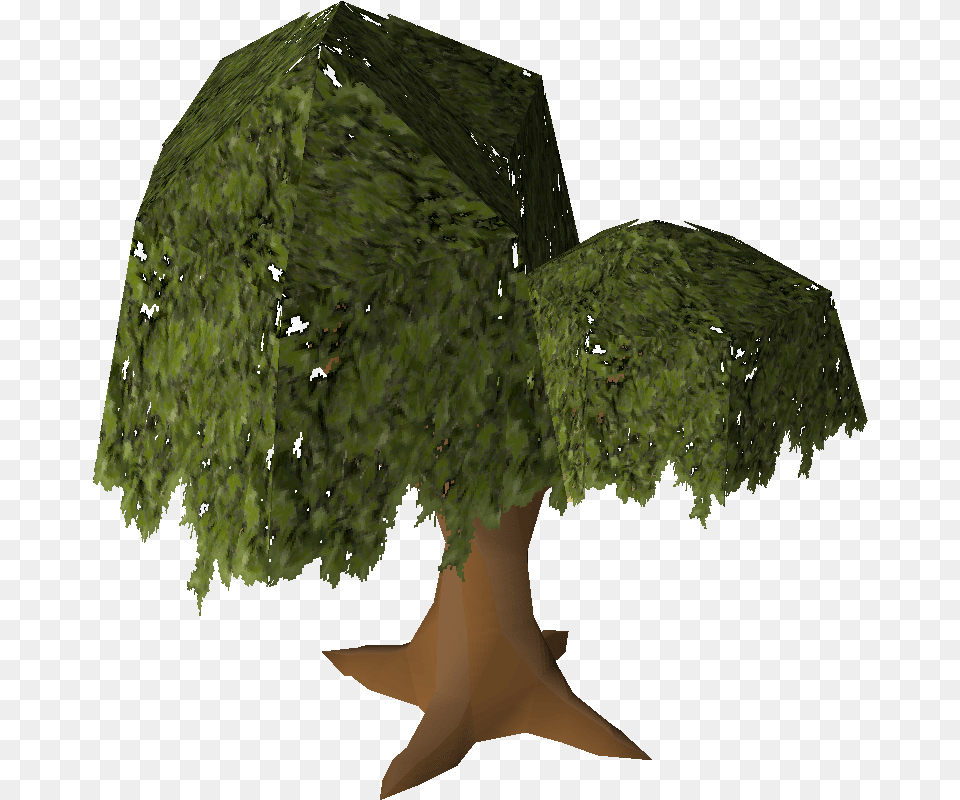 Nice Tree Osrs Wiki Nice Tree Osrs, Moss, Plant, Vegetation, Jungle Free Png