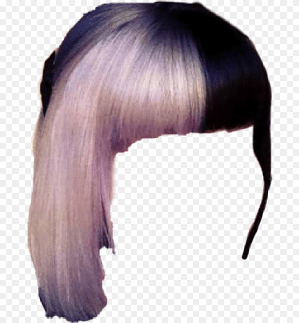 Niche Nichehair Twotoned Hair Hairstyles Lace Wig, Adult, Female, Person, Woman Free Png