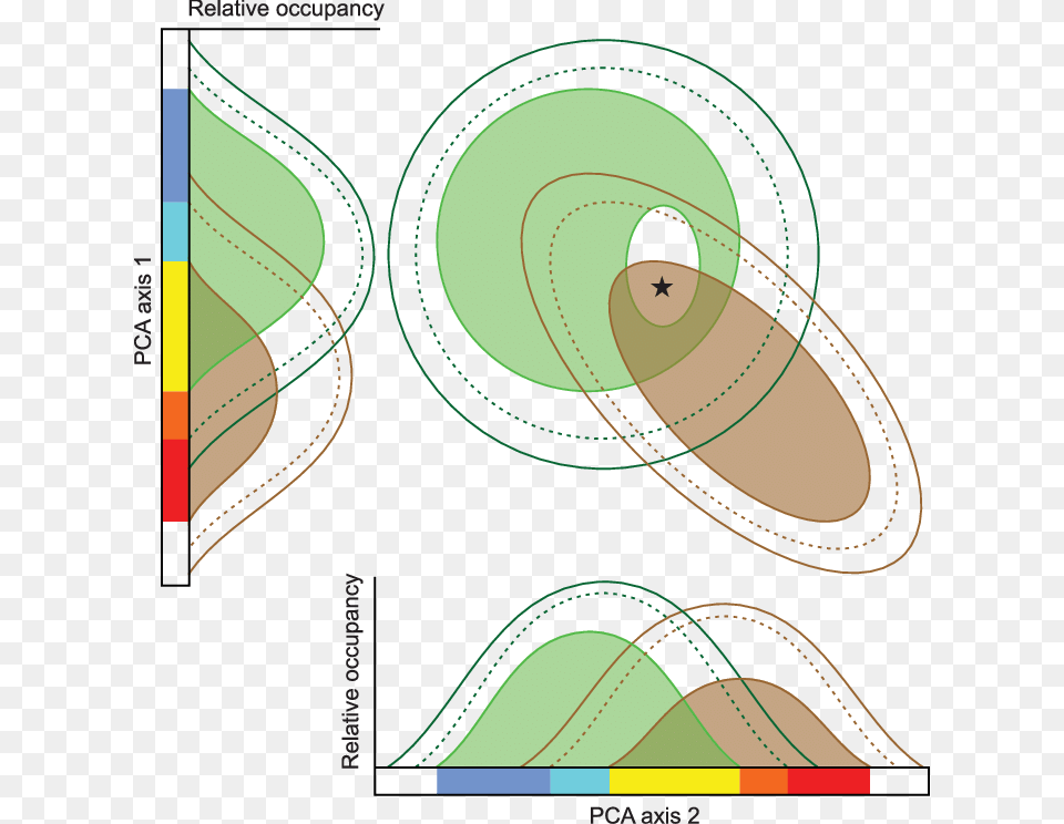 Niche Shifts For Native And Alien Brown Oval Realized Circle, Nature, Night, Outdoors Free Transparent Png