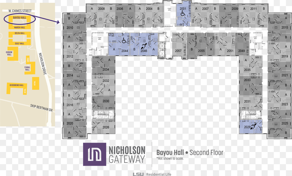 Nicholson Gateway Apartments Floor Plans Bayou Hall Lsu, Chart, Plot Free Transparent Png