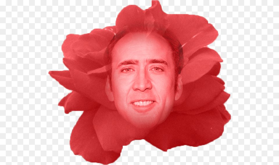 Nick Of Time Woman Who Looks Like Nicolas Cage, Face, Head, Portrait, Person Free Png Download