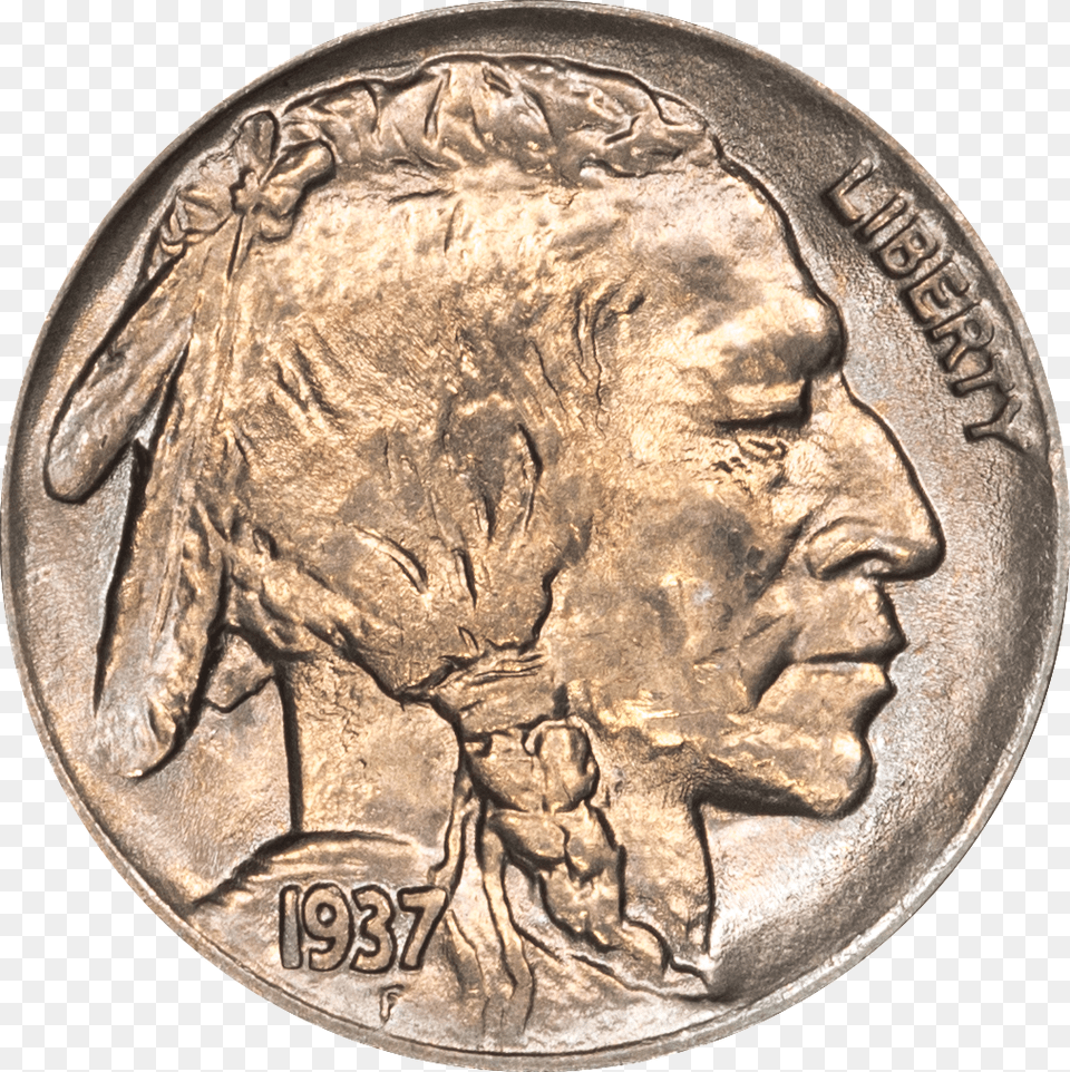 Nickel Coin Buffalo Nickel, Money, Adult, Male, Man Free Png