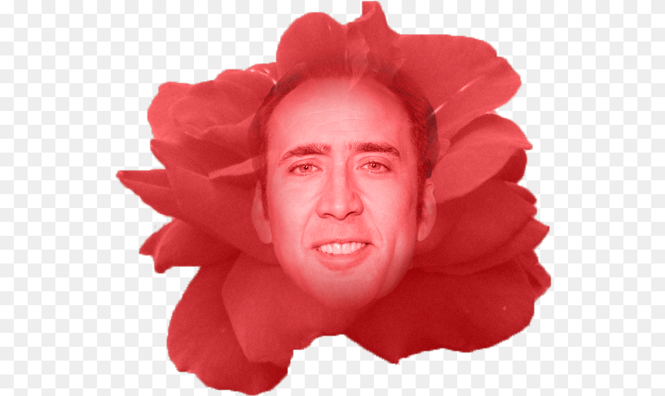 Nicolas Cage Girl That Looks Like Nicholas Cage, Face, Flower, Head, Person Png Image