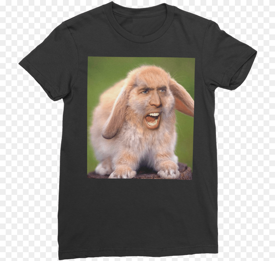 Nicolas Cage S Face On A Rabbit Classic Women S T Shirt Nicolas Cage Meme Rabbit, Clothing, T-shirt, Animal, Mammal Png Image