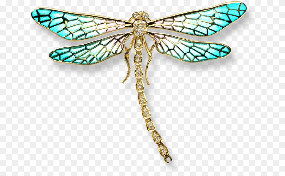 Nicole Barr Designs 18 Karat Gold Dragonfly Necklace Dragonfly Hd, Animal, Insect, Invertebrate, Blade Png