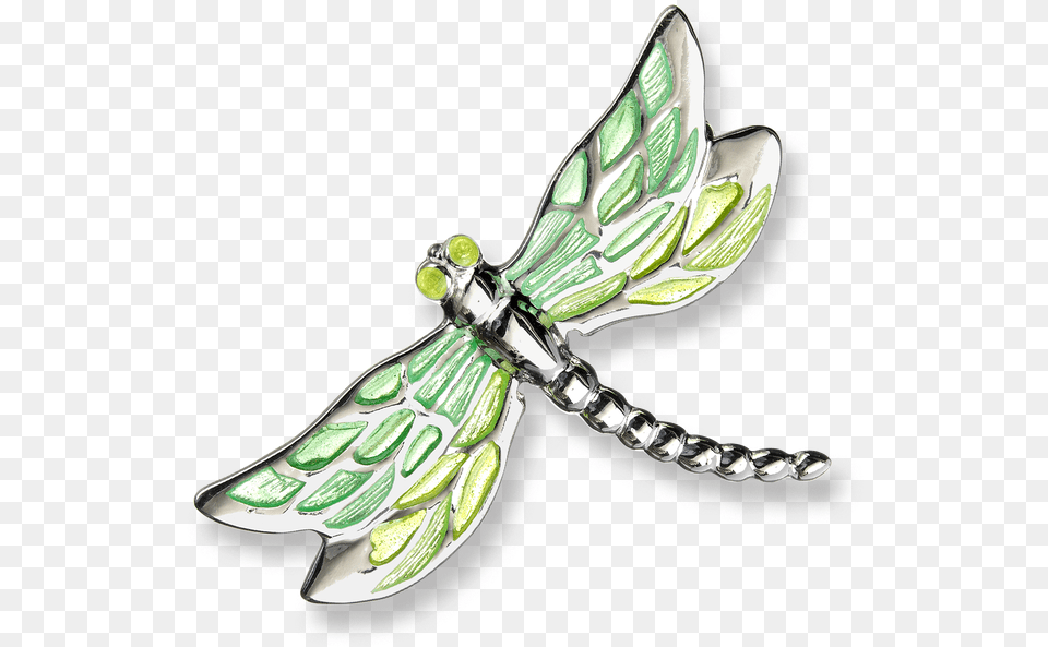 Nicole Barr Designs Fine Enamels Sterling Silver Dragonfly Damselfly, Accessories, Jewelry, Animal, Insect Free Transparent Png