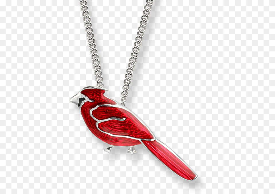 Nicole Barr Designs Sterling Silver Cardinal Necklace Cardinal Necklace, Accessories, Smoke Pipe, Animal, Bird Png Image