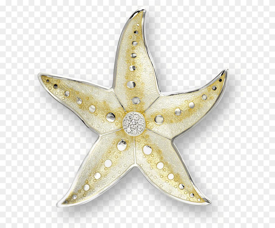 Nicole Barr Designs Sterling Silver Starfish Brooch Yellow Starfish, Animal, Sea Life, Blade, Dagger Free Png Download