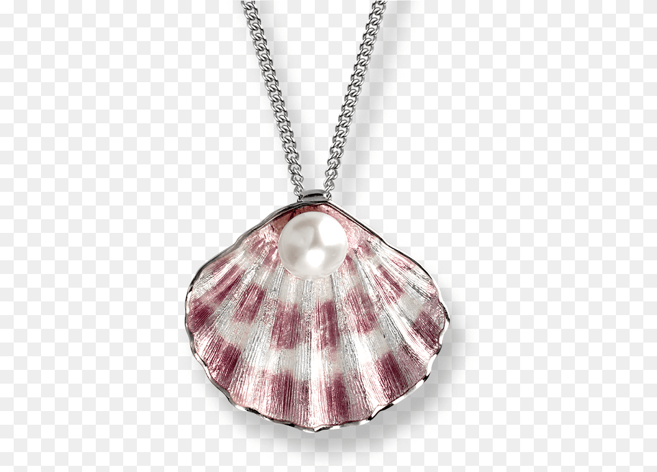 Nicole Barr Purple Shell Shell Necklace Background, Accessories, Seafood, Sea Life, Seashell Free Png
