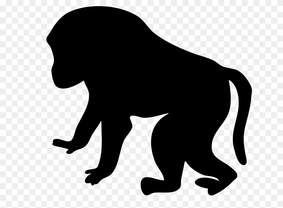 Nicubunu Baboon Contour, Gray Png