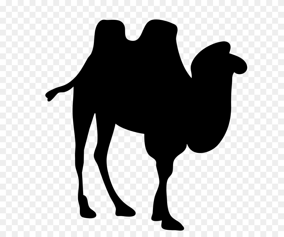 Nicubunu Camel Contour, Gray Png Image