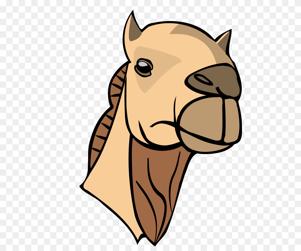 Nicubunu Camel Head, Animal, Mammal, Person Png Image