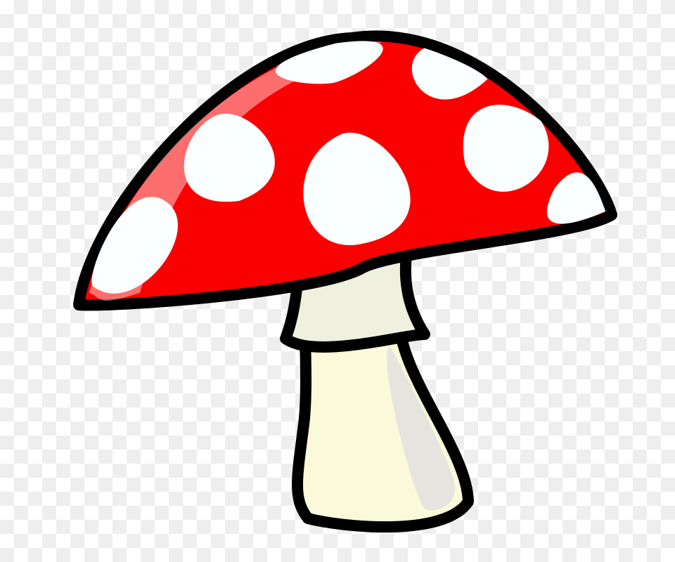 Nicubunu Mushroom, Agaric, Fungus, Plant, Device Free Transparent Png