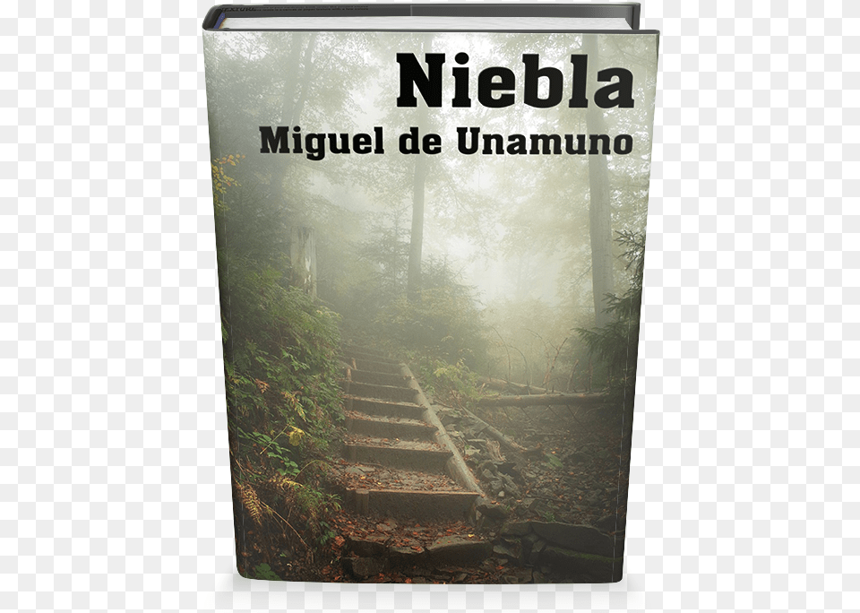 Niebla Es Una Novela O Quotnivolaquot Como El Mismo Autor Miguel De Unamuno, Plant, Weather, Vegetation, Land Png