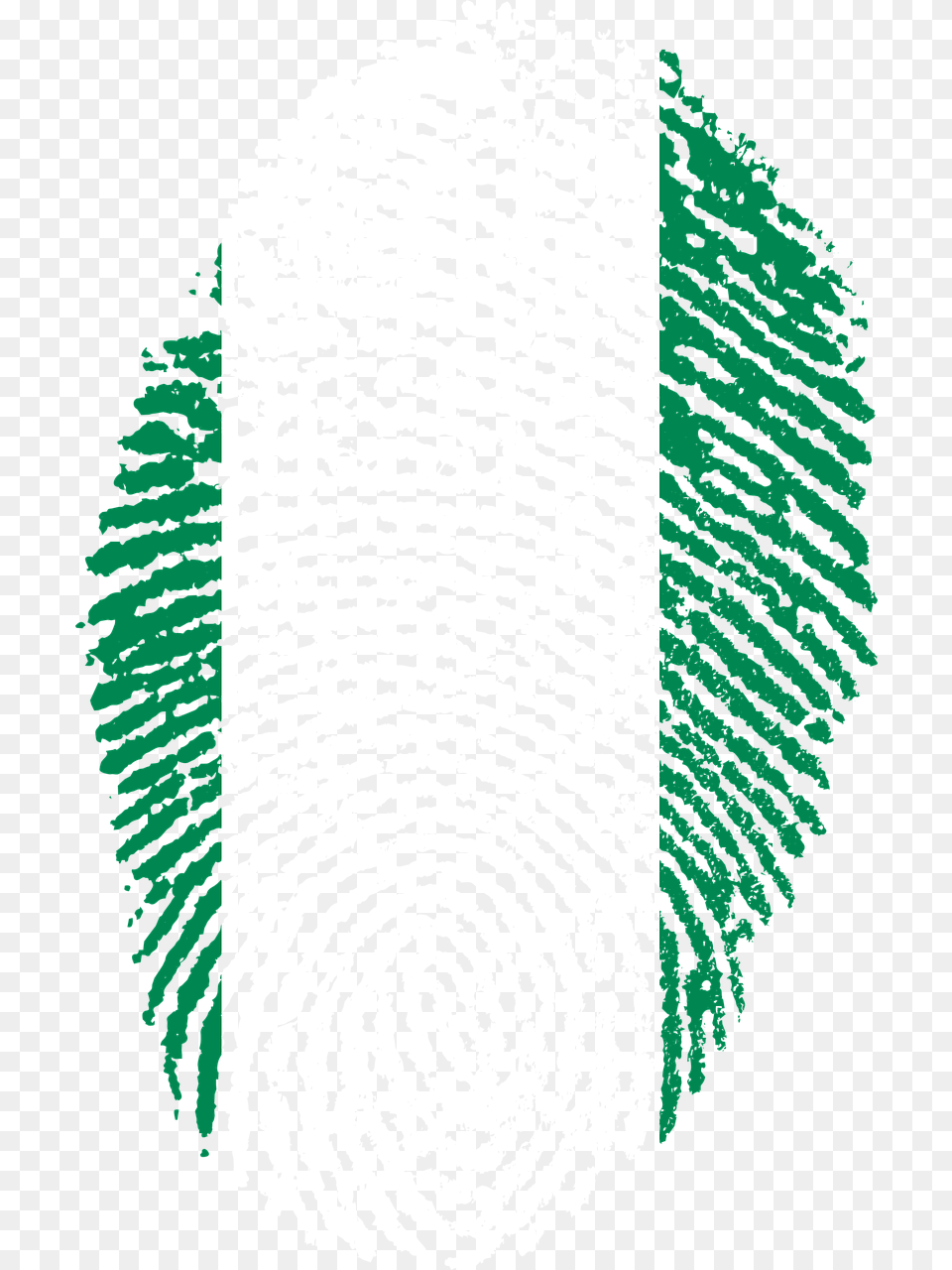 Nigeria Flag Fingerprint, Spiral, Home Decor, Person Free Png Download