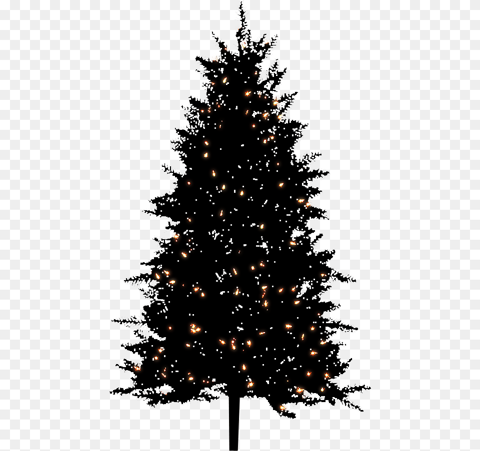 Night Bg Christmas Tree By Dbszabo Artificial Christmas Tree, Plant, Christmas Decorations, Festival, Christmas Tree Png Image