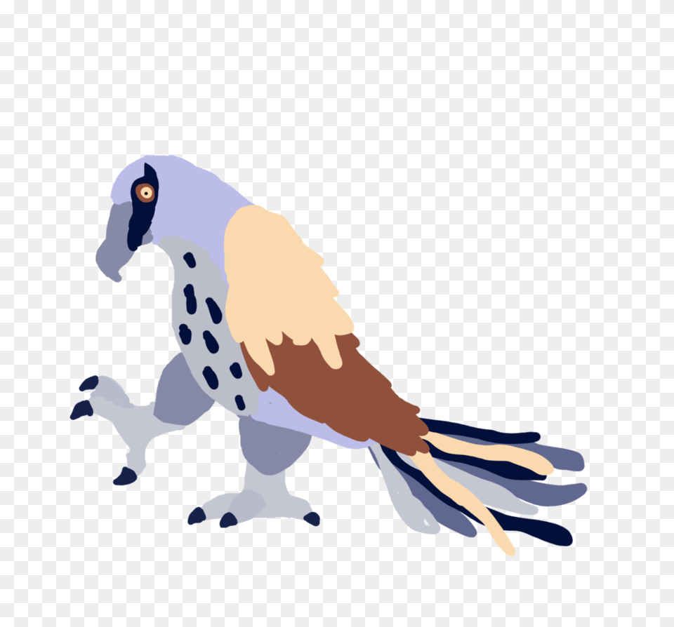 Night Claws, Animal, Bird, Vulture, Jay Free Png