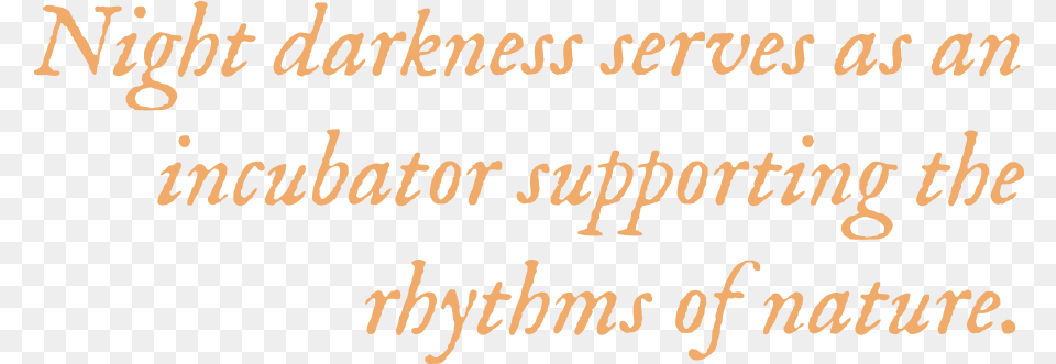 Night Darkness Serves As An Incubator Supporting The Calligraphy, Text, Letter, Handwriting Free Png