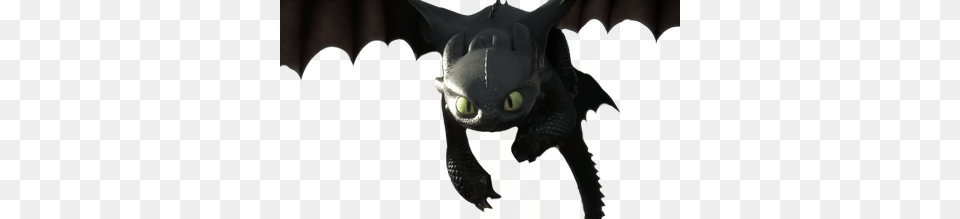 Night Fury, Baby, Person Png
